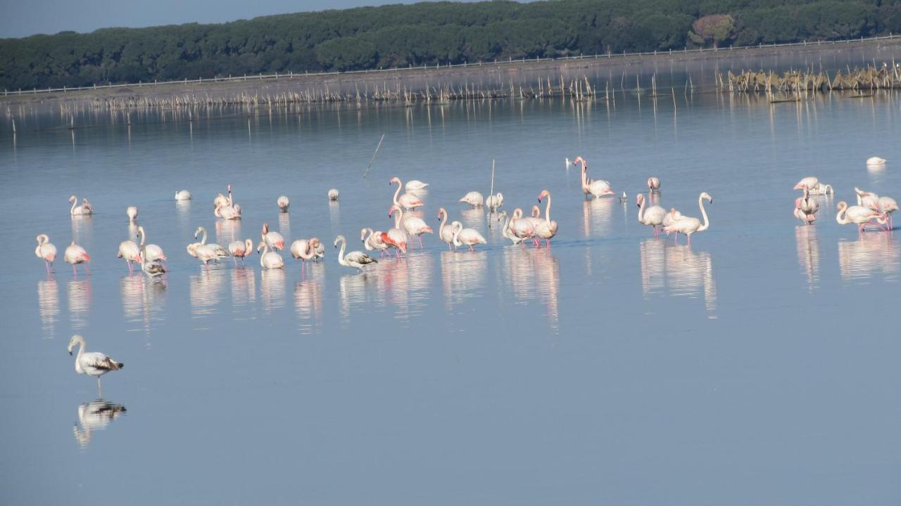 L'Isola Aer B&B Lesina Kültér fotó